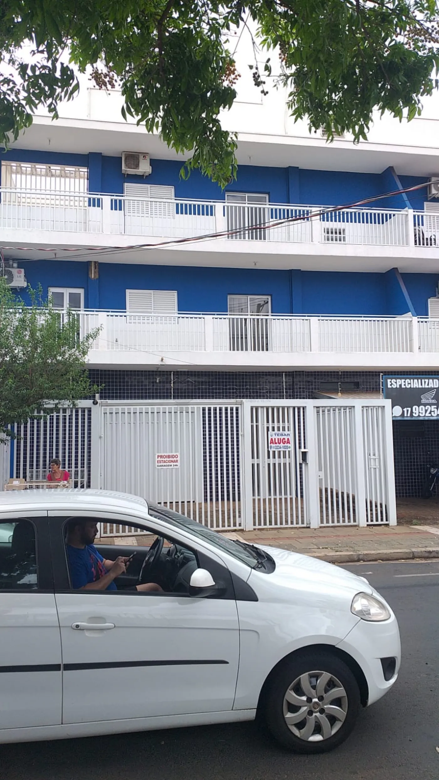 Alugar Apartamento / Padrão em SÃO JOSÉ DO RIO PRETO R$ 1.100,00 - Foto 1