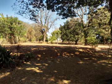 imagem 4 - Terreno - Padrão imagem 4 - Terreno - Padrão