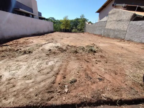 Alugar Terreno / Padrão em São José do Rio Preto. apenas R$ 370.000,00