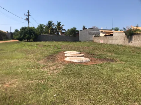 imagem 3 - Terreno com 352m² de frente para o rio - Park Borá I imagem 3 - Terreno com 352m² de frente para o rio - Park Borá I