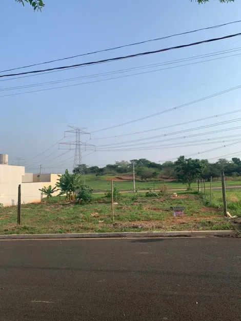 imagem 1 - Terreno - Padrão imagem 1 - Terreno - Padrão