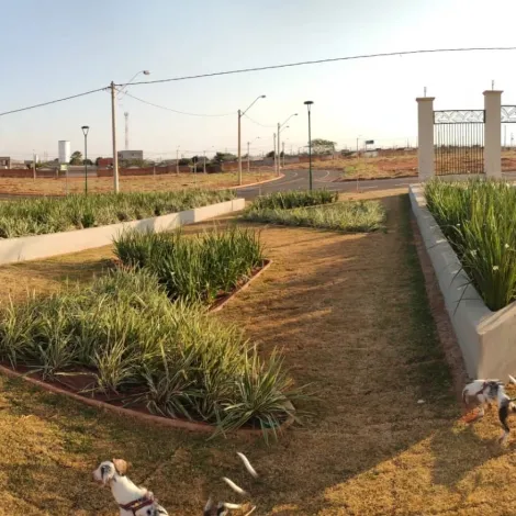 imagem 1 - Excelente terreno de esquina no Eparque Leste - 242 m² imagem 1 - Excelente terreno de esquina no Eparque Leste - 242 m²