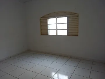 Alugar Casa / Padrão em São José do Rio Preto. apenas R$ 550,00