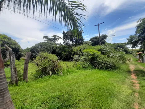 imagem 3 - Lote com 10 mil m², no Eden Leste, próximo á Engenheiro Schmitt. imagem 3 - Lote com 10 mil m², no Eden Leste, próximo á Engenheiro Schmitt.