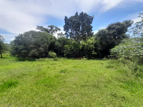 imagem 4 - Lote com 10 mil m², no Eden Leste, próximo á Engenheiro Schmitt. imagem 4 - Lote com 10 mil m², no Eden Leste, próximo á Engenheiro Schmitt.