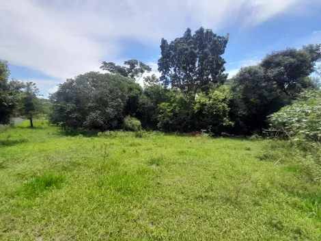 imagem 5 - Lote com 10 mil m², no Eden Leste, próximo á Engenheiro Schmitt. imagem 5 - Lote com 10 mil m², no Eden Leste, próximo á Engenheiro Schmitt.