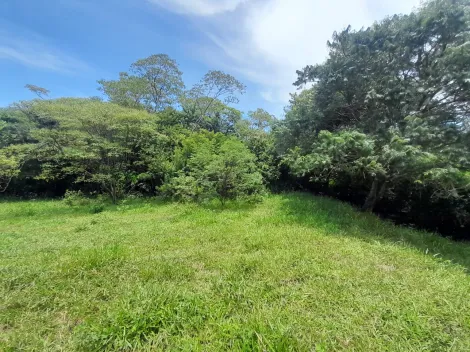 imagem 2 - Lote com 10 mil m², no Eden Leste, próximo á Engenheiro Schmitt. imagem 2 - Lote com 10 mil m², no Eden Leste, próximo á Engenheiro Schmitt.