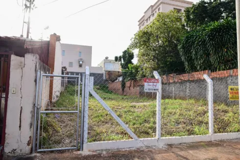 imagem 3 - Excelente oportunidade de investimento, próximo à Av Constituição e Bady Bassitt. imagem 3 - Excelente oportunidade de investimento, próximo à Av Constituição e Bady Bassitt.