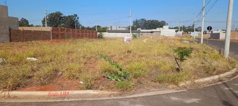 imagem 1 - Ótimo terreno com 238m² , de esquina no SETSUL II imagem 1 - Ótimo terreno com 238m² , de esquina no SETSUL II