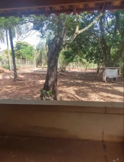 imagem 4 - Chácara de 1.000m² com casa de 02 dormitórios à venda na estância Gramado imagem 4 - Chácara de 1.000m² com casa de 02 dormitórios à venda na estância Gramado