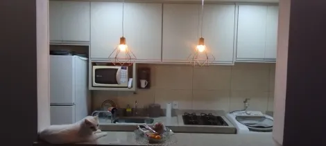 imagem 4 - Apartamento com 02 quartos, Moveis planejados, e um ótimo acabamento, a venda parque Rio Reno. imagem 4 - Apartamento com 02 quartos, Moveis planejados, e um ótimo acabamento, a venda parque Rio Reno.
