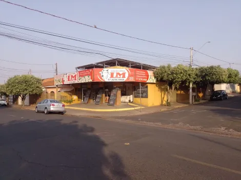 imagem 5 - Ponto comercial completo, com mais de 20 anos de mercado + casa residencial no mesmo terreno (300m²) imagem 5 - Ponto comercial completo, com mais de 20 anos de mercado + casa residencial no mesmo terreno (300m²)