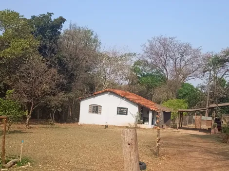 imagem 3 - Grande oportunidade - São quase 10.000 m² de chácara na Estancia Jockey Club imagem 3 - Grande oportunidade - São quase 10.000 m² de chácara na Estancia Jockey Club