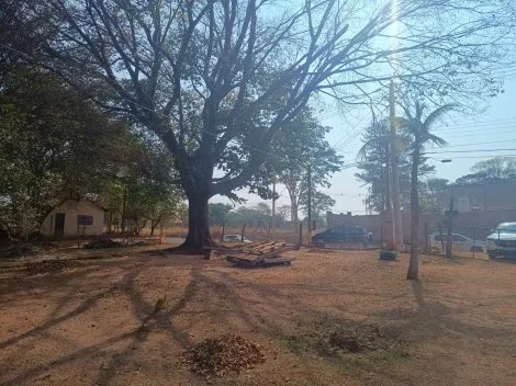 imagem 5 - Grande oportunidade - São quase 10.000 m² de chácara na Estancia Jockey Club imagem 5 - Grande oportunidade - São quase 10.000 m² de chácara na Estancia Jockey Club