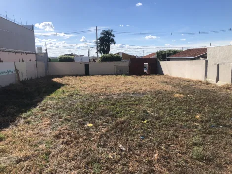 imagem 1 - Terreno - Padrão imagem 1 - Terreno - Padrão