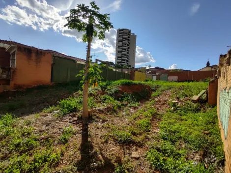 imagem 2 - Terreno com 831,80 m² a uma quadra da Av Bady Bassitt. imagem 2 - Terreno com 831,80 m² a uma quadra da Av Bady Bassitt.